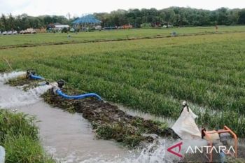 Pemkab Karawang salurkan puluhan pompa kepada petani untuk atasi kekeringan