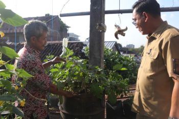 Urban farming solusi ketahanan pangan di Kota Yogyakarta