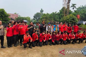 Menhut: Tiga kasus perusahaan di Jambi tengah diselidiki terkait karhutla