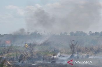 Upaya pemadaman karhutla di Tanah Bumbu terus ditingkatkan