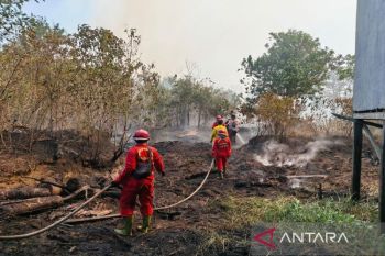 Tim Karhutla Darat respon cepat kebakaran lahan di Desa Sepunggur