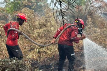 Satgas karhutla Riau apresiasi dukungan PT Arara Abadi tangani kebakaran di lahan masyarakat