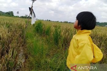 Pemkab Kukar perkuat sinergi wujudkan daerah pusat pangan