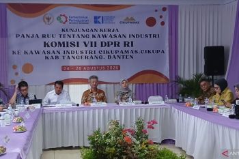 DPR: RUU Kawasan Industri dorong pemerataan ekonomi di daerah