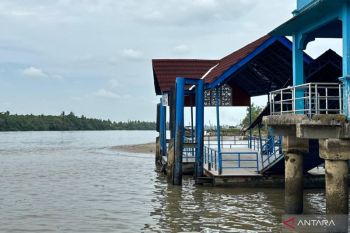 Mendesak, penyedotan sedimentasi Pelabuhan Kayan II dijadwalkan besok