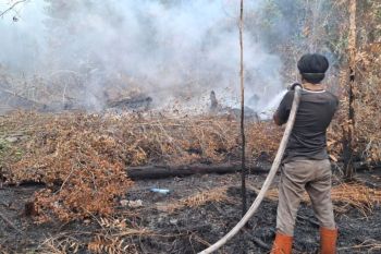 UPR gerak cepat padamkan kebakaran lahan di lingkungan kampus