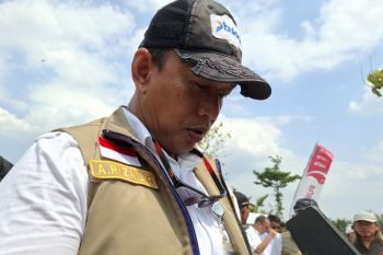 Bulog: Serapan gabah nasional capai 91 persen