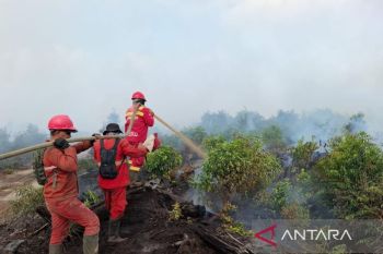 Manggala Agni optimalkan pemadaman karhutla di Muara Enim