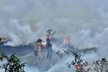 Menjaga langit tetap biru di tengah kepungan kebakaran hutan dan lahan