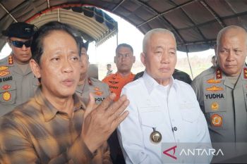 Wamenko Pangan dukung strategi permanen atasi karhutla di Banjarbaru