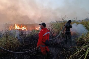 Bupati Lampung Timur pastikan penanganan karhutla di TNWK berjalan cepat