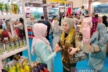 Produk UMKM Solok rendang hi ngga tikar pandan diminati di AOE 2026