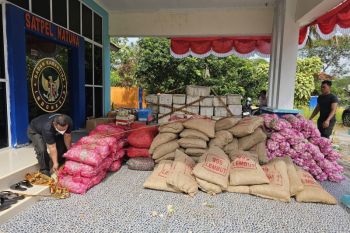 BKHIT Kepri tahan komoditas pertanian tanpa kelengkapan surat di Natuna