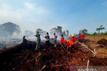Polri-TNI dan Pamhut patroli bersama cegah karhutla di Jambi