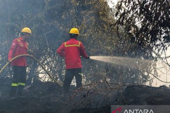PT WKS dukung Satgas penanganan karhutla di kawasan Pandan Sejahtera