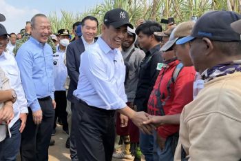 Mentan optimistis produksi gula nasional capai 3 juta ton pada 2026