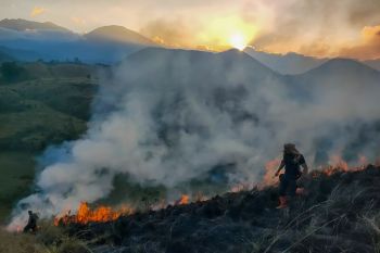 Karhutla di Kawah Wurung Bondowoso capai 10 hektare