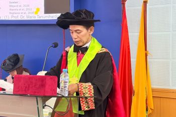 Lebah madu Tetragonulla bisa diperbanyak dengan belah koloni