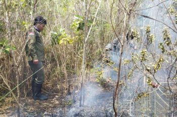 BPBD sebut OMC selama 26-30 Agustus tangani karhutla dan kekeringan di Lampung