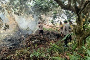 Lahan gambut seluas 13,5 hektare di Singkawang terbakar