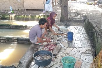 Dinas Perikanan Kota Mataram serahkan bantuan bagi kelompok budidaya ikan