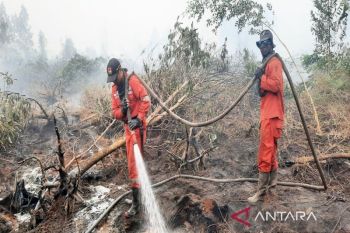 Indonesia opens reporting portal for early detection of forest fires