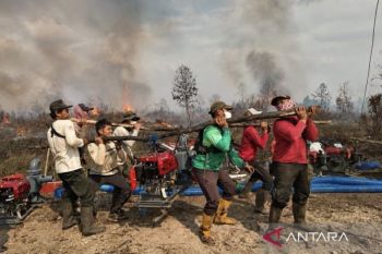 Dishut Kalsel dapat bantuan 50 mesin tangani karhutla di hutan lindung