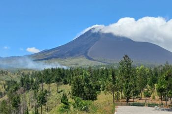 Dishut: 1.500 hektare hutan dan lahan di Sulut terbakar