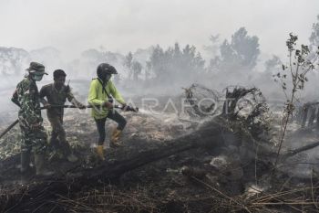 Pemadaman karhutla di Tanjung Jabung Timur