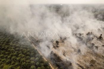 Asap karhutla berisiko bagi janin