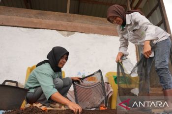 Kelompok tani binaan IMIP olah sampah organik jadi bernilai ekonomis