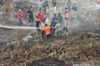 Penanganan karhutla di Sarolangun libatkan Pemerintah, Manggala Agni, dan Sinar Mas Agribusiness and Food