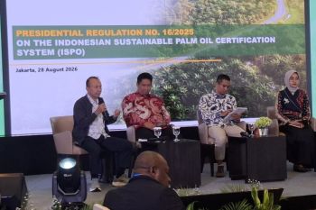 Pemerintah siapkan "kick-off" sistem informasi sawit pada September