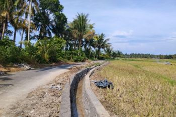Pariaman targetkan perbaikan irigasi terdampak bencana rampung September