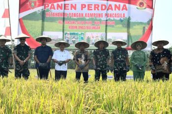 Ketahanan pangan jadi aspek utama penilaian Kampung Pancasila