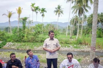 Pemkab Solok alokasikan Rp54,78 miliar untuk pulihkan pertanian
