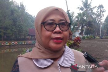 Anggota DPR: Bisik Serayu Festival memperkuat karakter bangsa