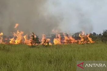 Kejati Sumsel tangani tujuh perkara karhutla dan tujuh tersangka per Agustus 2026