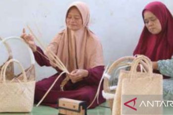 12 desa di Bangka Tengah lolos program Desa Devisa