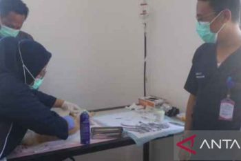 Bangka Tengah kendalikan populasi kucing lewat sterilisasi gratis
