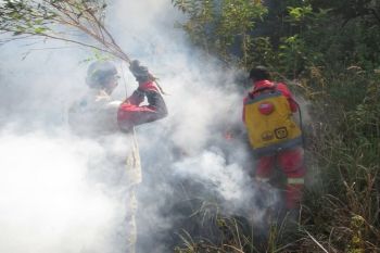 Dokter mengingatkan bahaya kabut asap karhutla bagi kesehatan anak