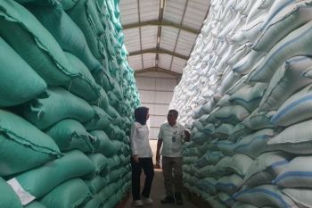 Serapan beras Bulog Tulungagung capai 63.900 ton hingga Agustus