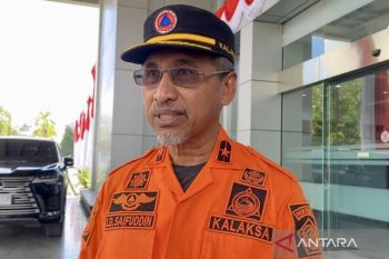 BPBD catat 2.376 hektare lahan di Sultra terbakar selama Januari hingga Juli 2026