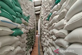 Bulog Sumut segera terima tambahan 36.000 ton beras perkuat pangan