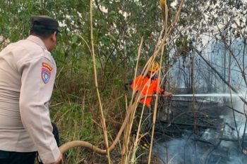 Polres Tapin psstikan karhutla belum berujung proses hukum