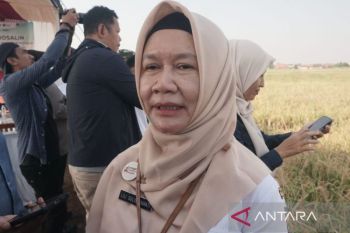 Pekalongan lanjutkan tiga agenda Gerakan Pangan Murah