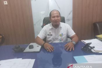 Pemkab Bangka gandeng Bulog penuhi bahan pokok beras