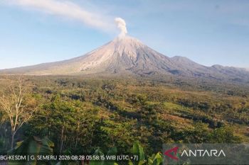 Semeru erupsi setinggi 1.000 meter