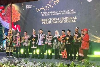 Desa binaan Pusri Tebat Benawa di Pagaralam raih Juara I Wana Lestari 2026