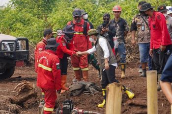 Indonesia's wildfire response covers healthcare, social support: gov't